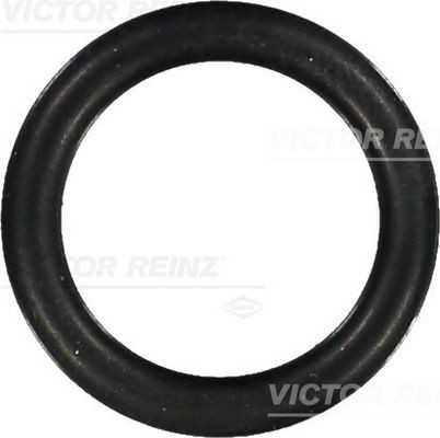 Уплотняющее кольцо 40-76066-00 VICTOR REINZ