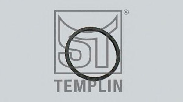 Резиновое кольцо 060700913000 TEMPLIN
