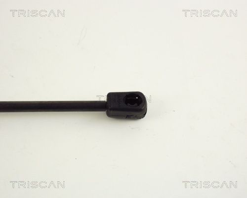 Упругий элемент, крышка багажника / помещения для груза 871065204 TRISCAN