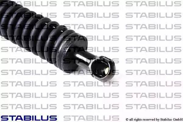 Упругий элемент, крышка багажника / помещения для груза 2838ZN STABILUS