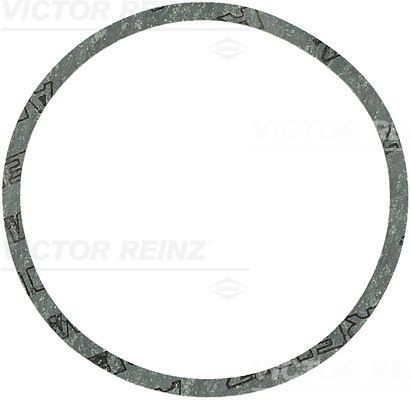 Уплотняющее кольцо 40-81170-00 VICTOR REINZ