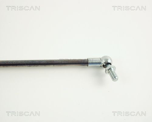 Упругий элемент, крышка багажника / помещения для груза 871040204 TRISCAN
