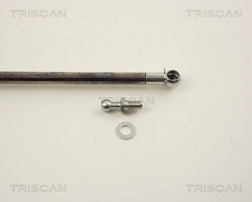 Упругий элемент, крышка багажника / помещения для груза 871014220 TRISCAN