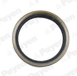 Деталь NJ141 PAYEN