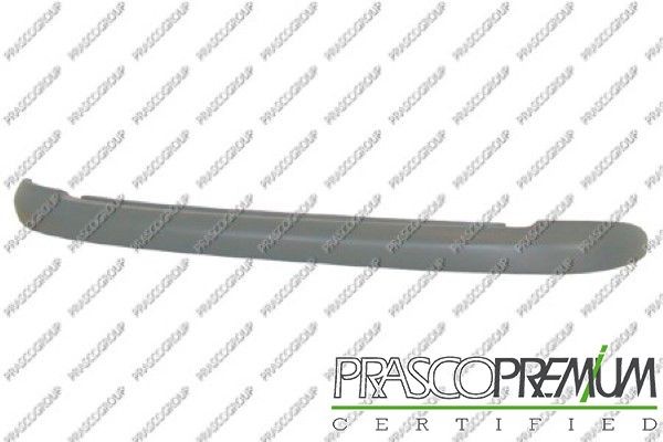 Облицовка / защитная накладка, буфер PG0091256 PRASCO GROUP