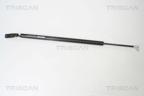 Упругий элемент, крышка багажника / помещения для груза 871042230 TRISCAN