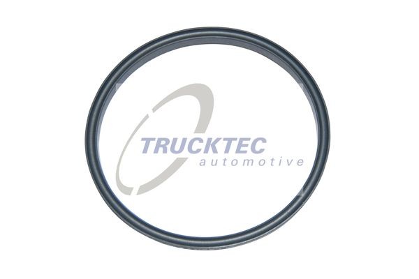 Кольцо уплотнительное 01.13.068 TRUCKTEC