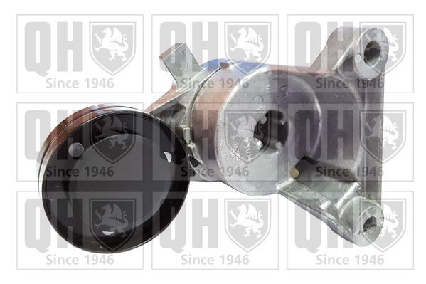 Натяжная планка, поликлиновой ремень QTA1346 QUINTON HAZELL