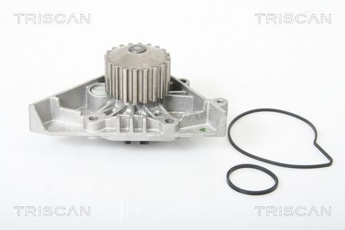 Водяной насос 8600 28011 TRISCAN