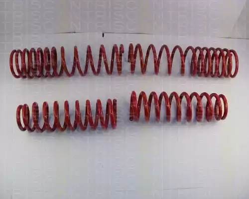 Комплект ходовой части, пружины 875540008 TRISCAN