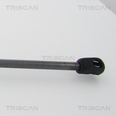 Упругий элемент, крышка багажника / помещения для груза 8710 29214 TRISCAN