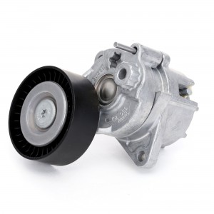 Натяжной ролик, поликлиновой  ремень VKM38020 SKF