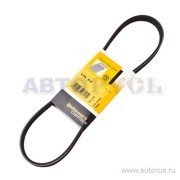 Поликлиновой ремень 4PK815 CONTITECH