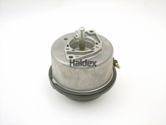Поршень тормозного цилидра 343411001 HALDEX