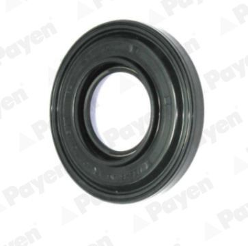 Деталь NK038 PAYEN