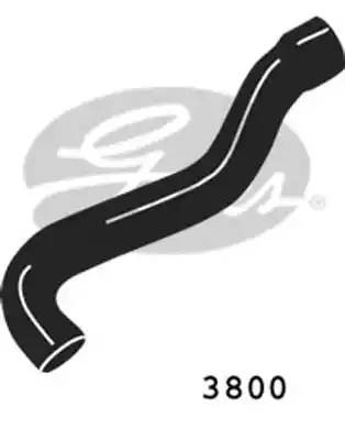 Шланг радиатора 3800 GATES