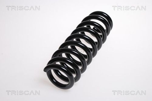 Пружина ходовой части 87501673 TRISCAN