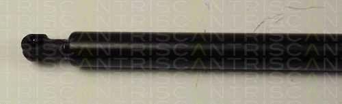 Упругий элемент, крышка багажника / помещения для груза 871014230 TRISCAN