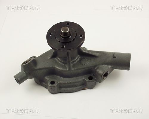 Водяной насос 860041008 TRISCAN